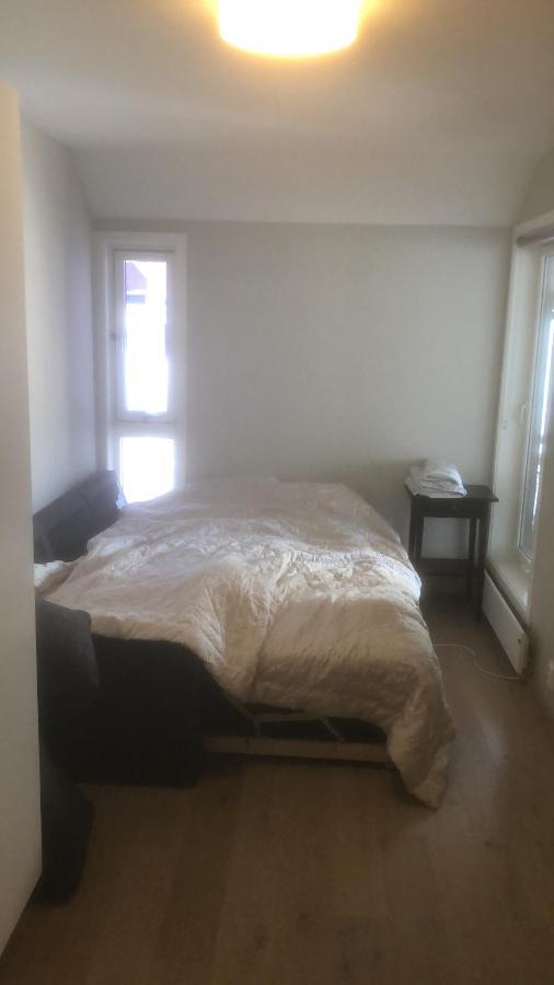 Penthouse Sentralt I Oslo Apartment Bagian luar foto